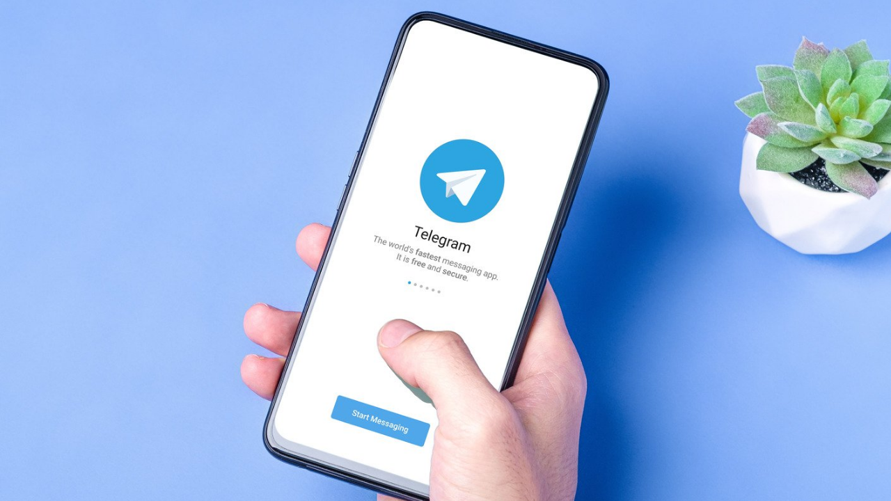 Telegram | Faça parte do nosso grupo oficial e fique por dentro das novidades