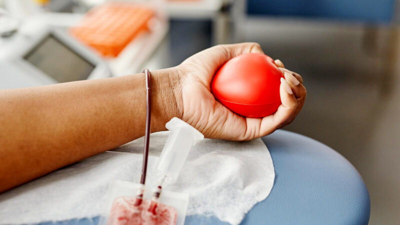 JUNHO VERMELHO | Campanha destaca ato de doar sangue como atitude que salva vidas. Faça a sua parte!